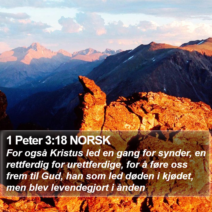 1 Peter 3:18 NORSK Bible Study