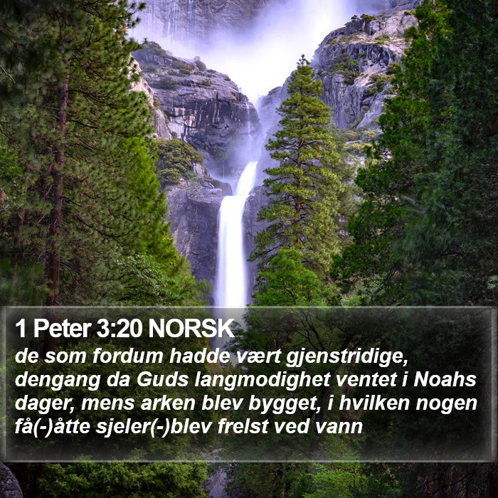 1 Peter 3:20 NORSK Bible Study