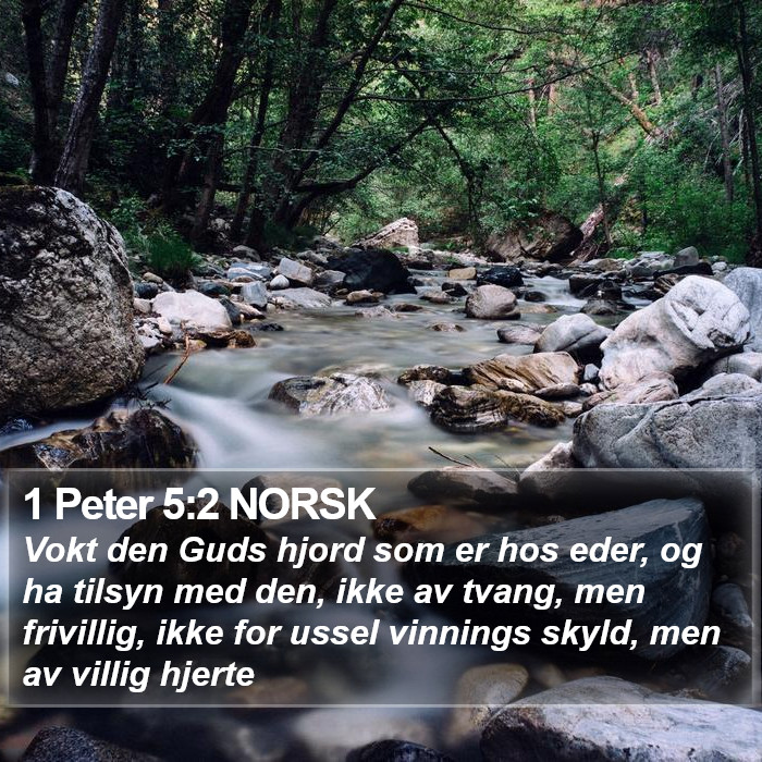 1 Peter 5:2 NORSK Bible Study