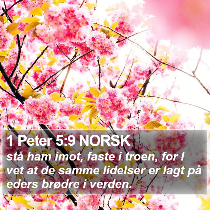 1 Peter 5:9 NORSK Bible Study