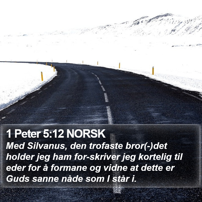 1 Peter 5:12 NORSK Bible Study