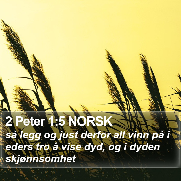 2 Peter 1:5 NORSK Bible Study