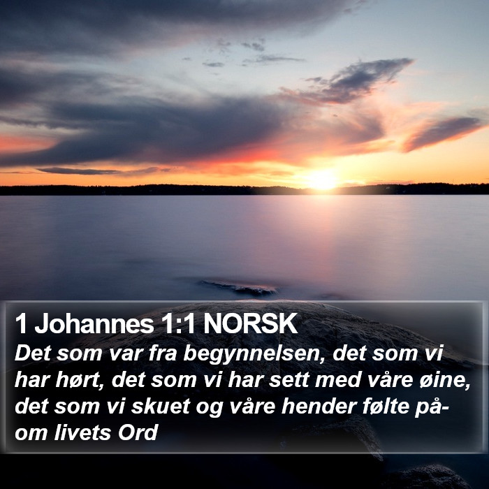 1 Johannes 1:1 NORSK Bible Study