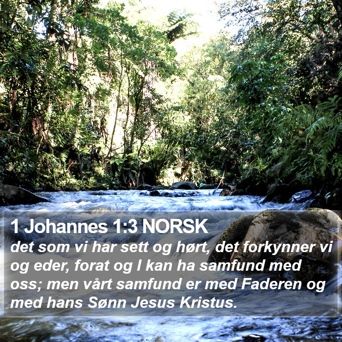 1 Johannes 1:3 NORSK Bible Study