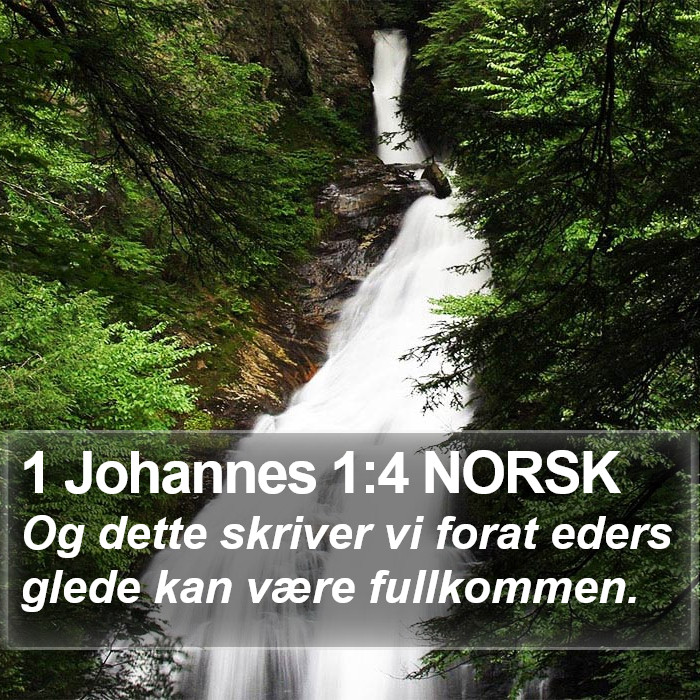 1 Johannes 1:4 NORSK Bible Study