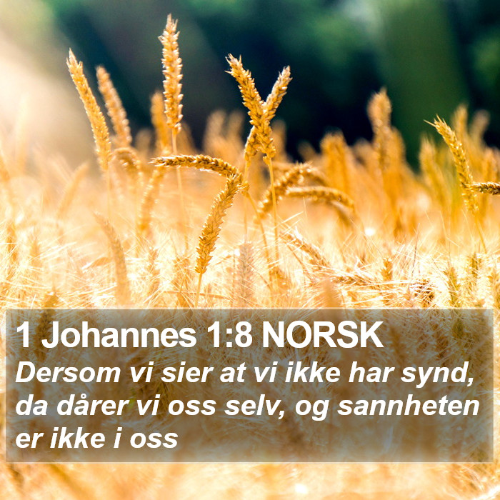 1 Johannes 1:8 NORSK Bible Study