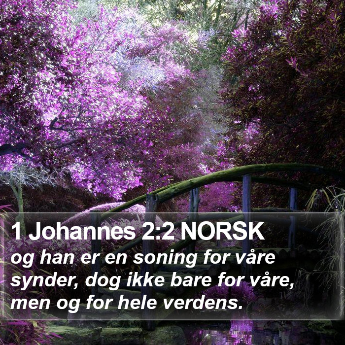 1 Johannes 2:2 NORSK Bible Study