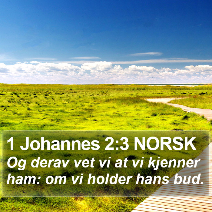 1 Johannes 2:3 NORSK Bible Study