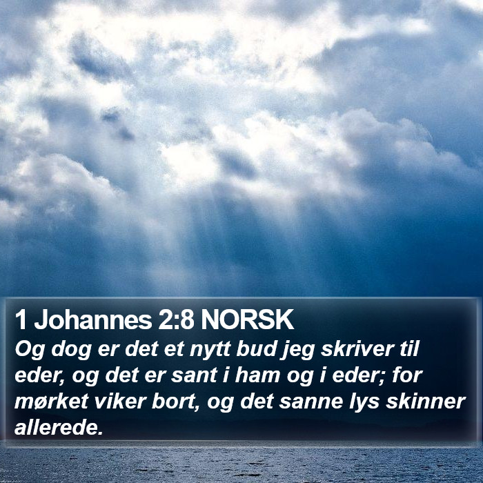 1 Johannes 2:8 NORSK Bible Study