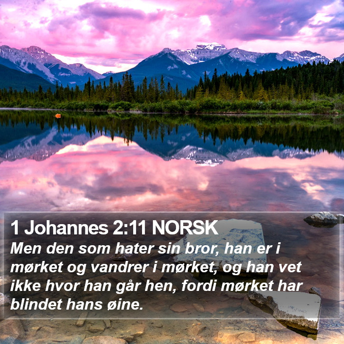1 Johannes 2:11 NORSK Bible Study