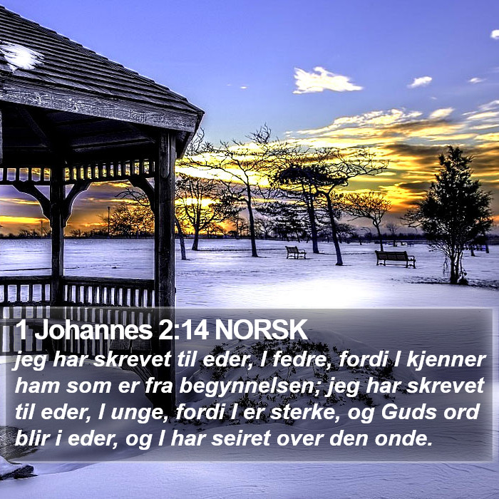 1 Johannes 2:14 NORSK Bible Study