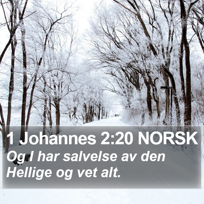 1 Johannes 2:20 NORSK Bible Study