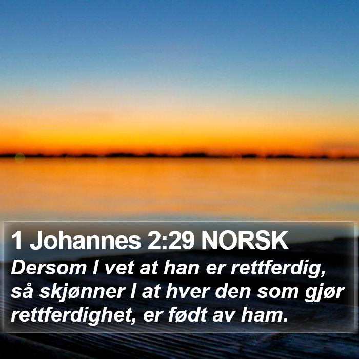 1 Johannes 2:29 NORSK Bible Study