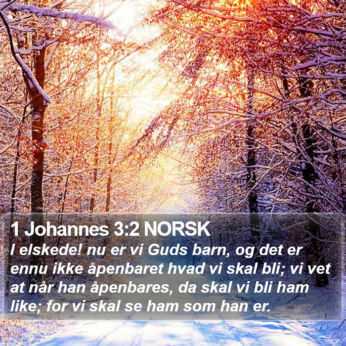 1 Johannes 3:2 NORSK Bible Study
