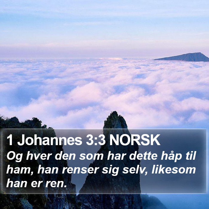 1 Johannes 3:3 NORSK Bible Study