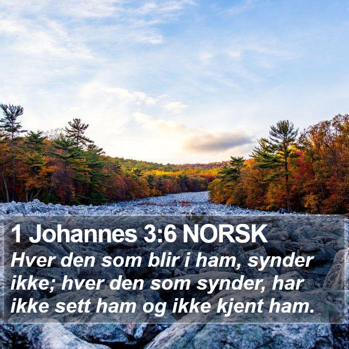 1 Johannes 3:6 NORSK Bible Study