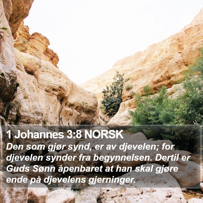 1 Johannes 3:8 NORSK Bible Study