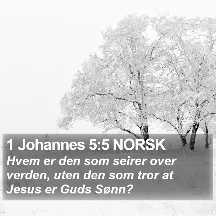 1 Johannes 5:5 NORSK Bible Study