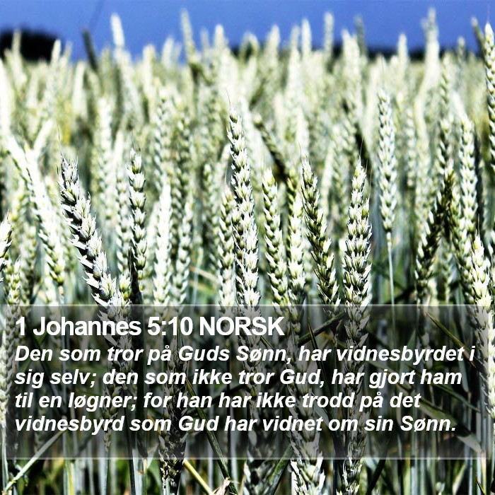 1 Johannes 5:10 NORSK Bible Study