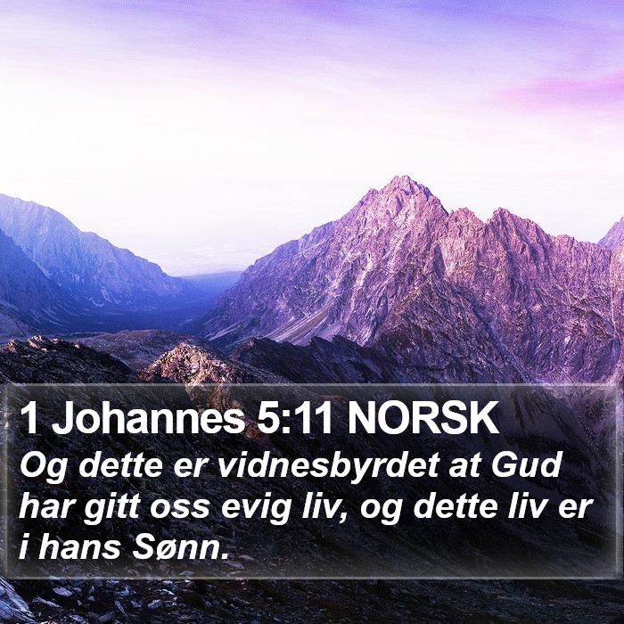 1 Johannes 5:11 NORSK Bible Study