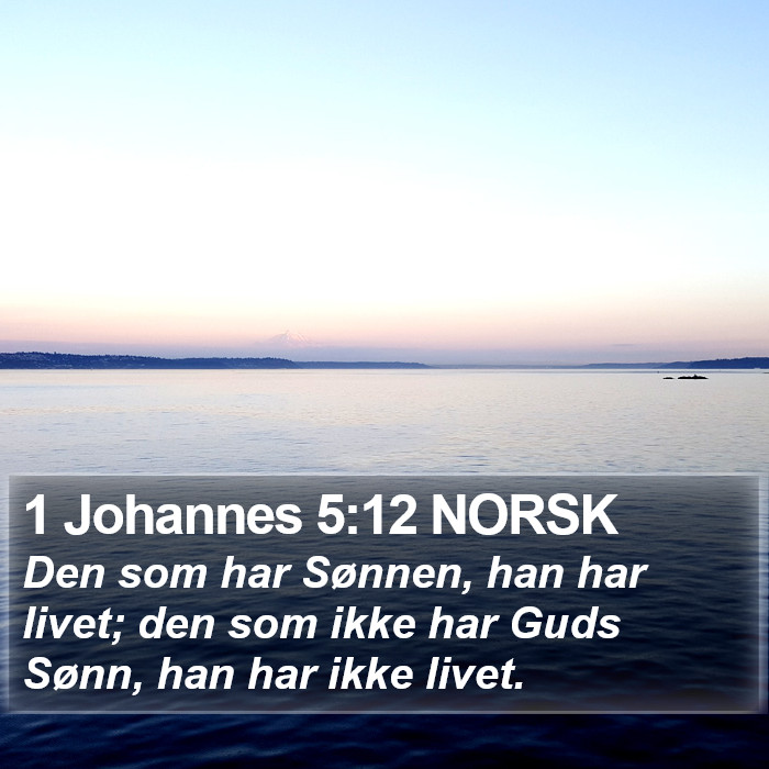 1 Johannes 5:12 NORSK Bible Study