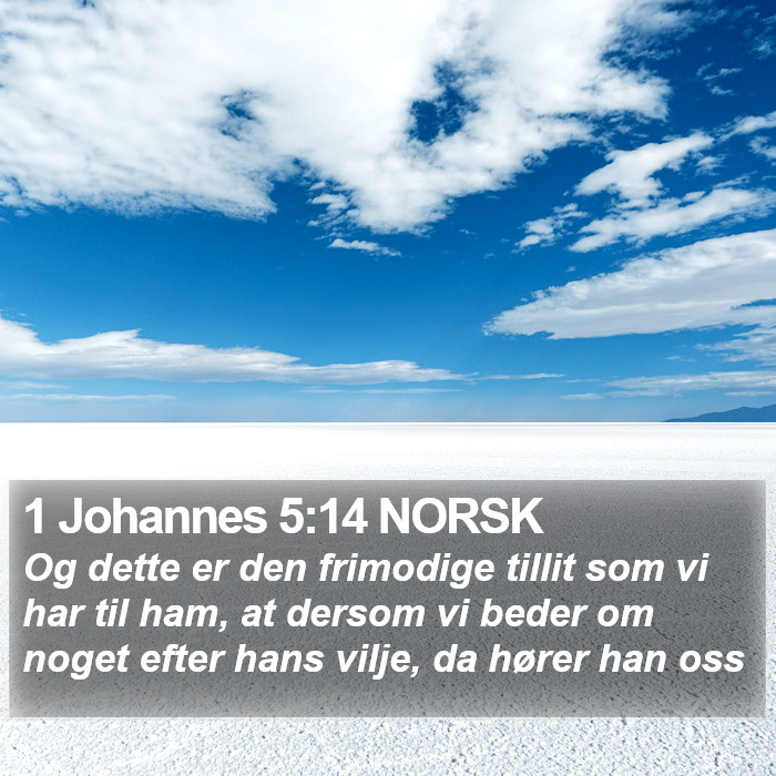 1 Johannes 5:14 NORSK Bible Study