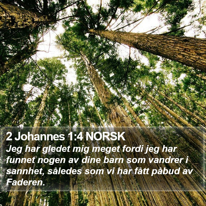 2 Johannes 1:4 NORSK Bible Study