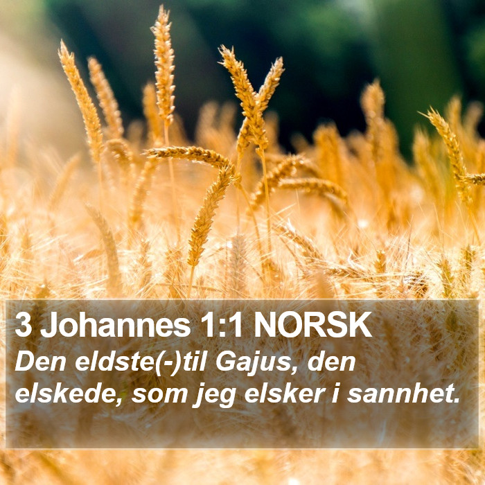 3 Johannes 1:1 NORSK Bible Study