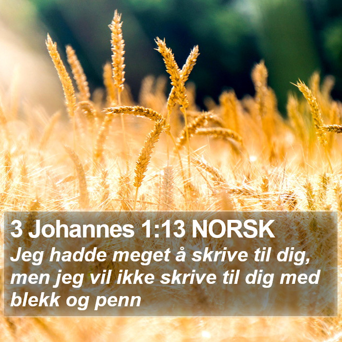 3 Johannes 1:13 NORSK Bible Study