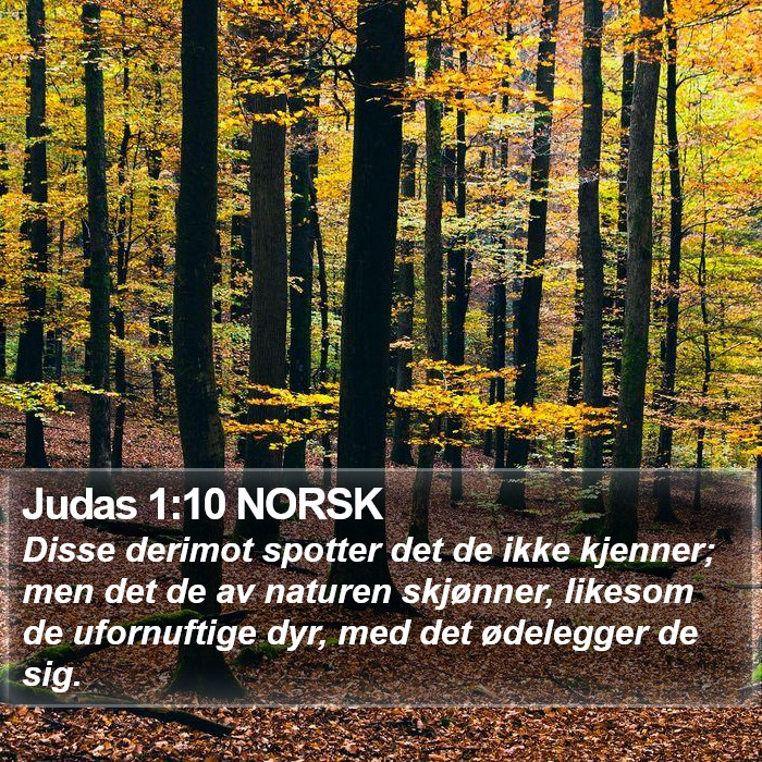 Judas 1:10 NORSK Bible Study