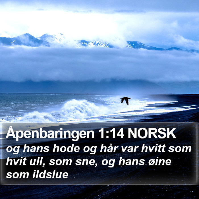 Åpenbaringen 1:14 NORSK Bible Study