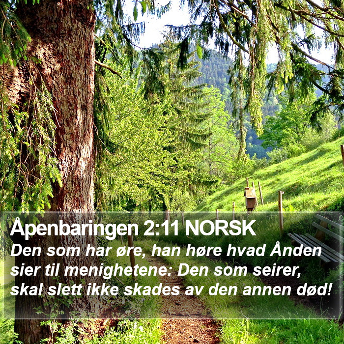 Åpenbaringen 2:11 NORSK Bible Study