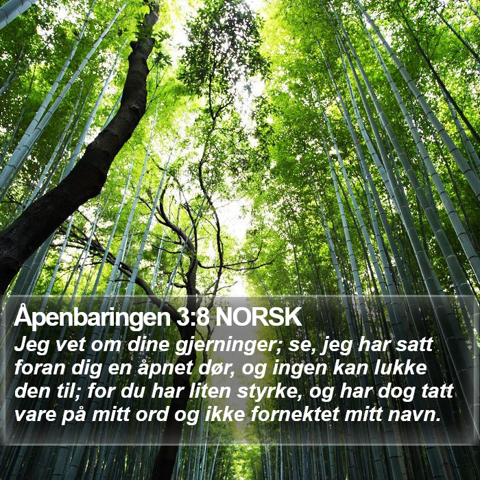 Åpenbaringen 3:8 NORSK Bible Study