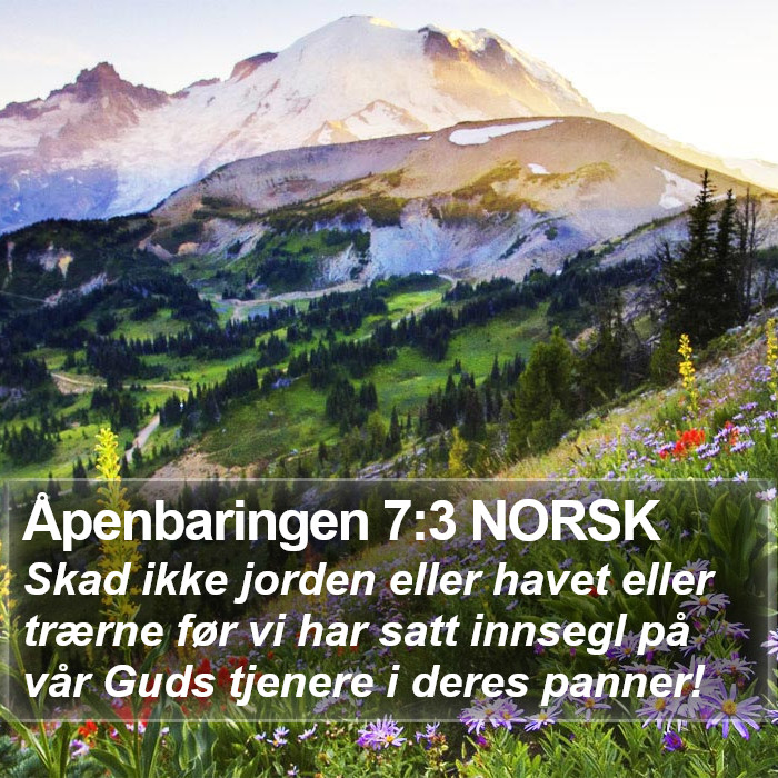 Åpenbaringen 7:3 NORSK Bible Study