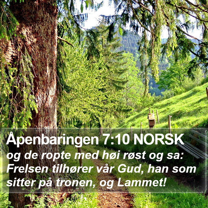 Åpenbaringen 7:10 NORSK Bible Study