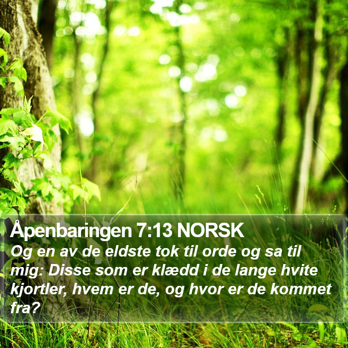 Åpenbaringen 7:13 NORSK Bible Study