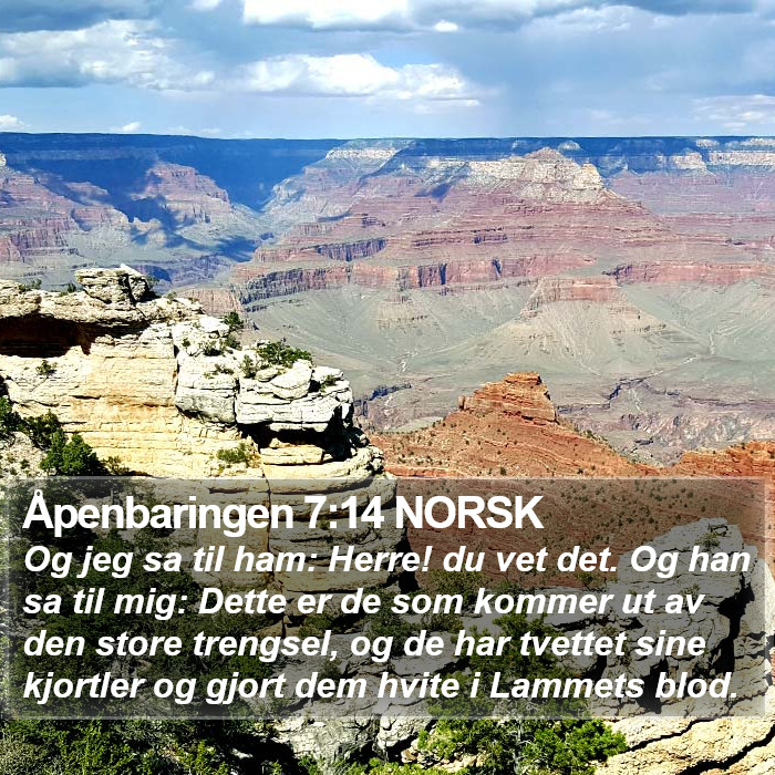 Åpenbaringen 7:14 NORSK Bible Study