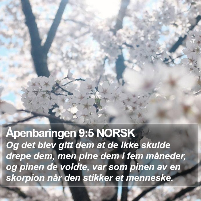 Åpenbaringen 9:5 NORSK Bible Study