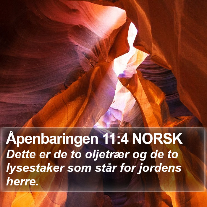 Åpenbaringen 11:4 NORSK Bible Study