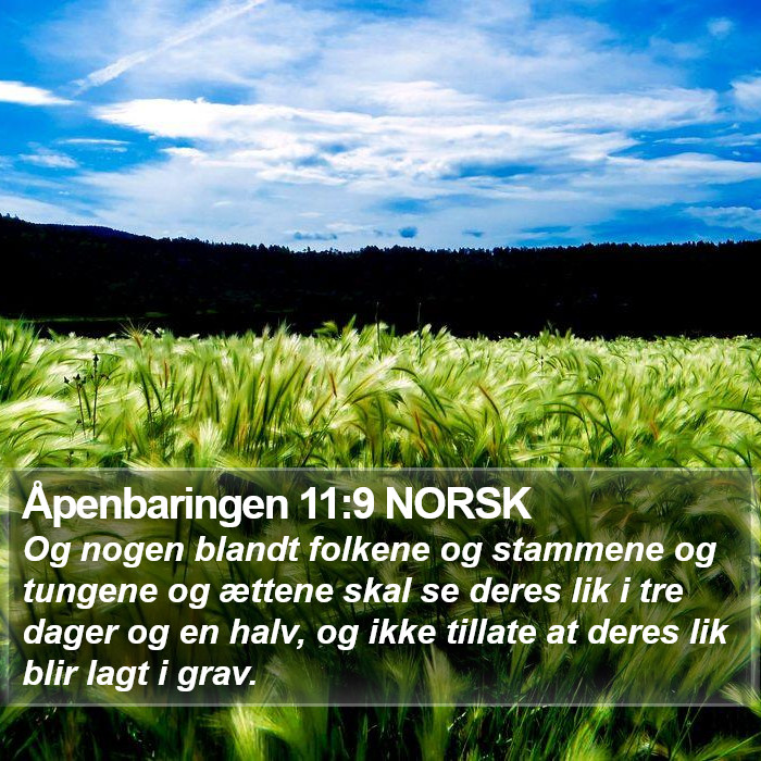 Åpenbaringen 11:9 NORSK Bible Study