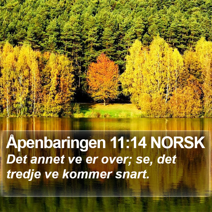 Åpenbaringen 11:14 NORSK Bible Study