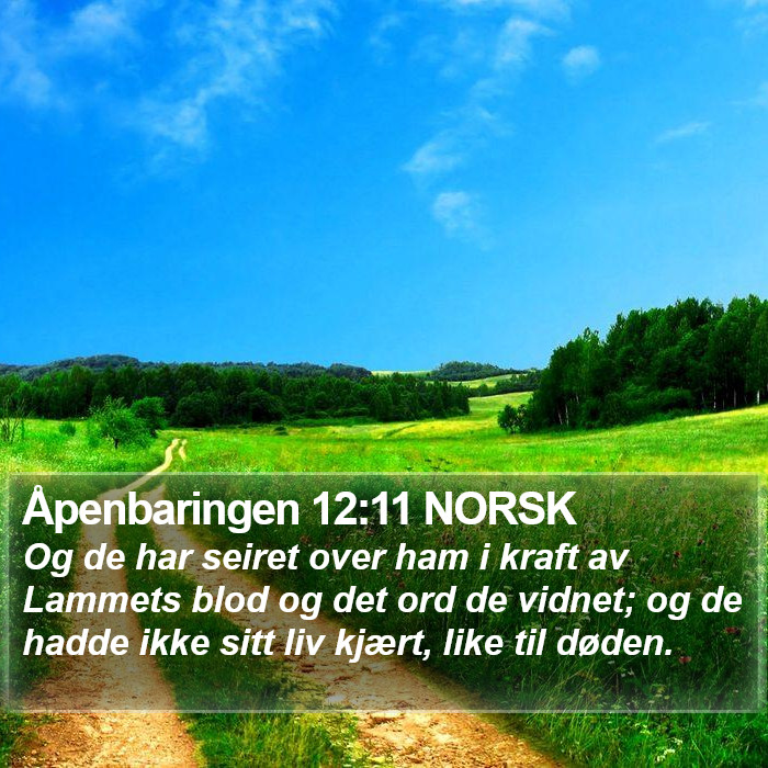 Åpenbaringen 12:11 NORSK Bible Study