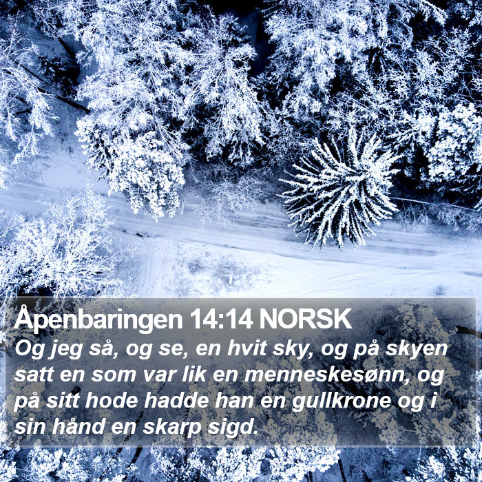 Åpenbaringen 14:14 NORSK Bible Study