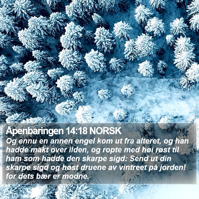 Åpenbaringen 14:18 NORSK Bible Study