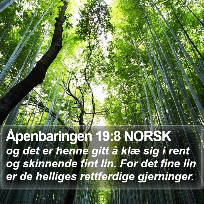 Åpenbaringen 19:8 NORSK Bible Study