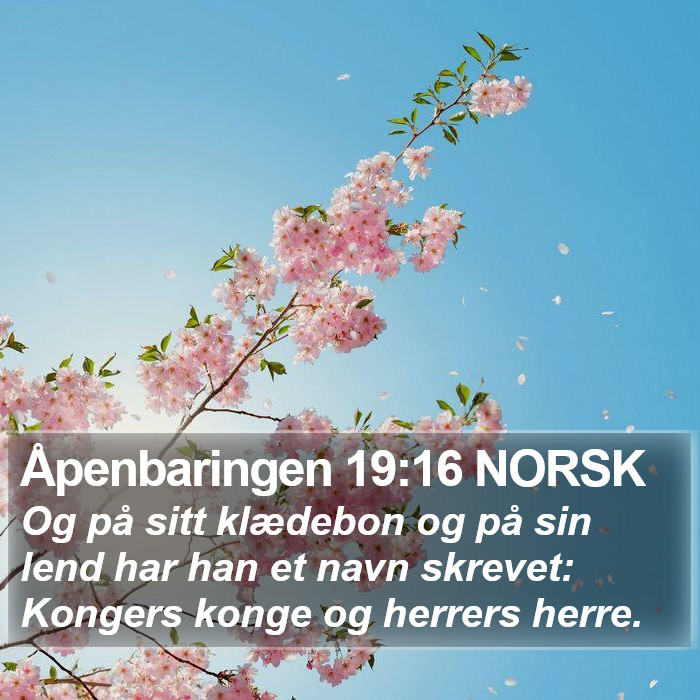 Åpenbaringen 19:16 NORSK Bible Study
