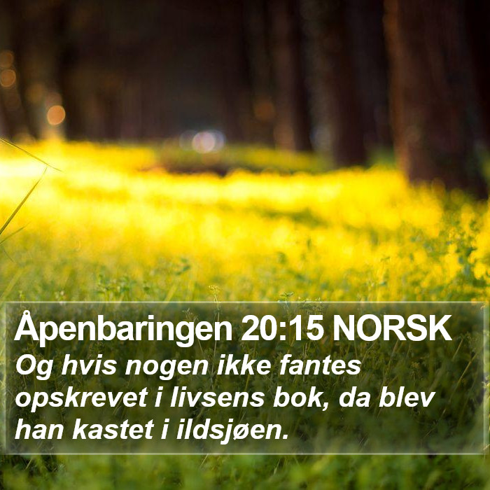 Åpenbaringen 20:15 NORSK Bible Study