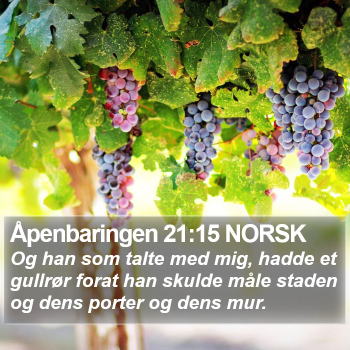 Åpenbaringen 21:15 NORSK Bible Study