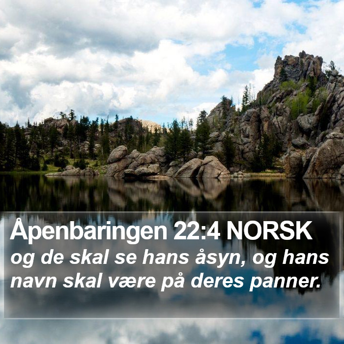 Åpenbaringen 22:4 NORSK Bible Study